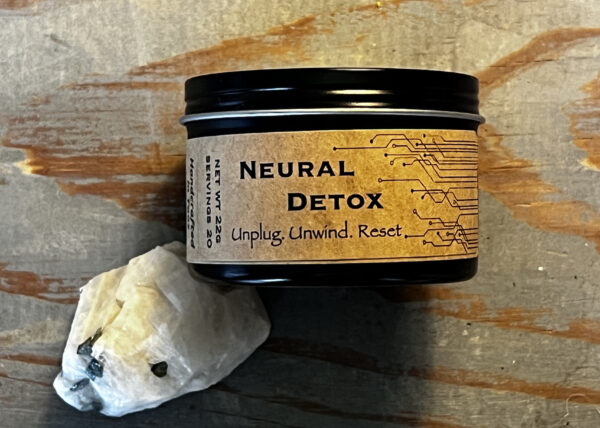 Neural Detox (formerly Tech Detox) - Image 2