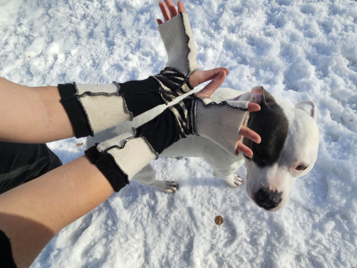 Zebra Bracers - Image 2